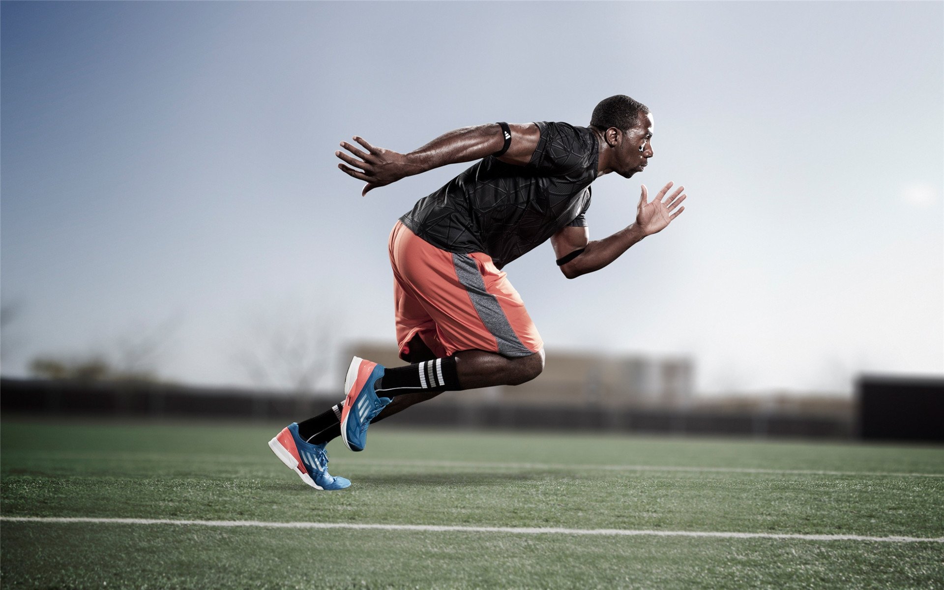 _日落马拉松：夕阳下的运动浪漫_，落日马场骑羊