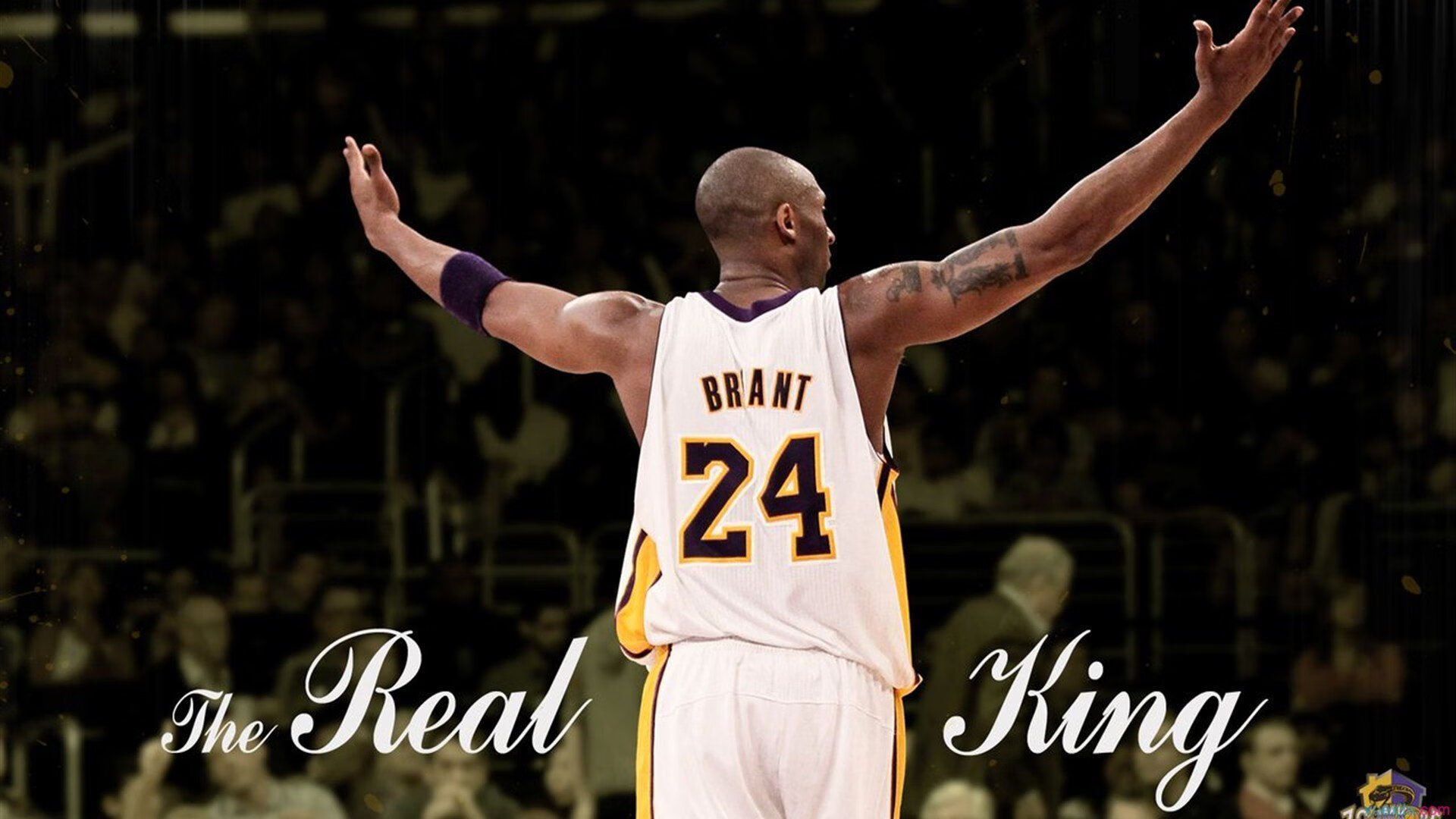 _雄鹿字母哥三双带队大胜_,雄鹿字母哥上场吗