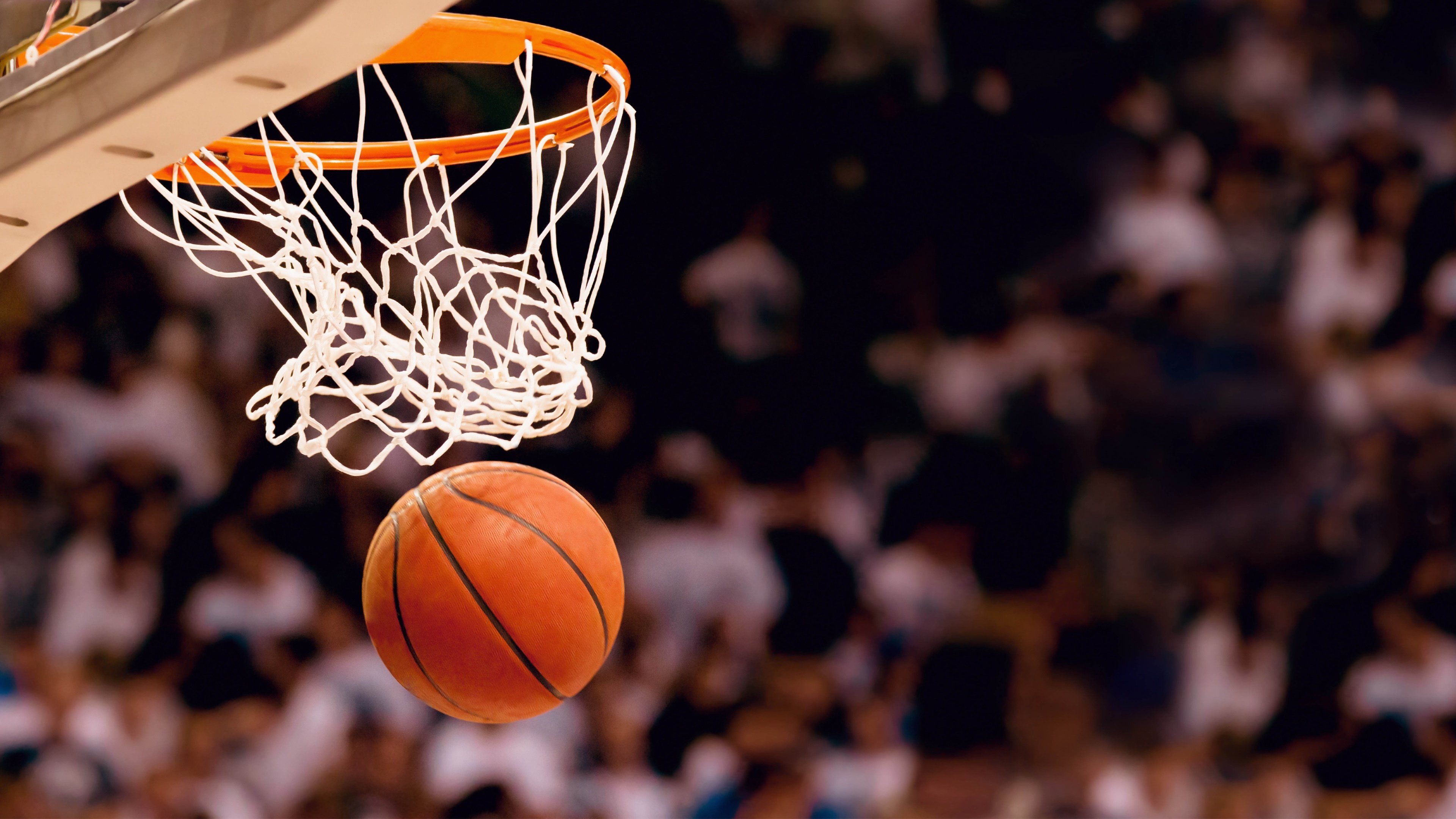 新秀风采：本赛季进入联盟的超级潜力股，nba联盟潜力新秀